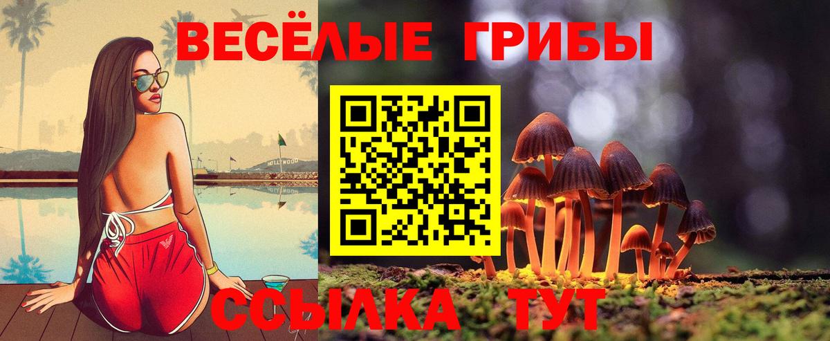 Корсаков  Галлюциногенные грибы мухоморы  Вход с VPN 